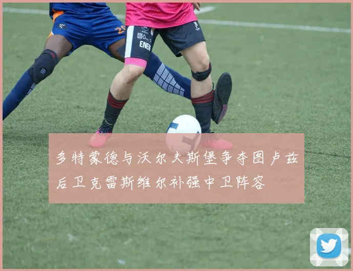 多特蒙德与沃尔夫斯堡争夺图卢兹后卫克雷斯维尔补强中卫阵容