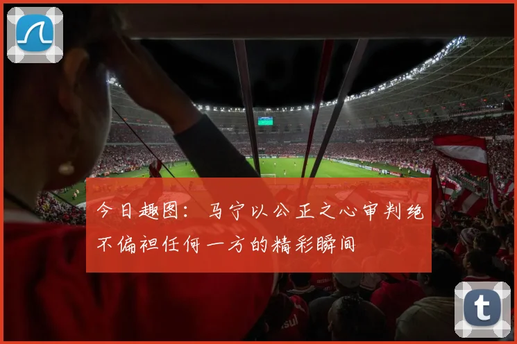 今日趣图：马宁以公正之心审判绝不偏袒任何一方的精彩瞬间